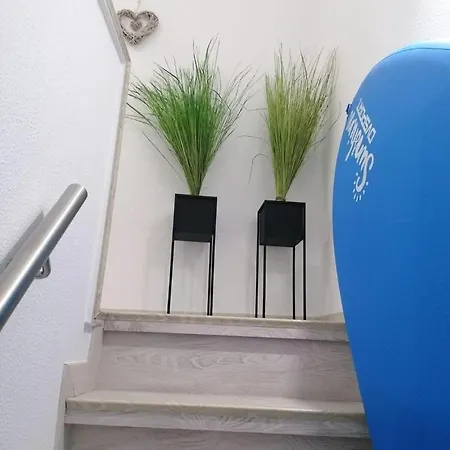 Seagull House Apartment *